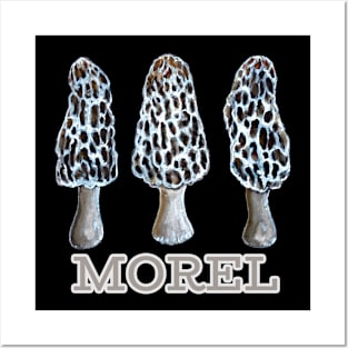 Morel Mushroom Lover Posters and Art